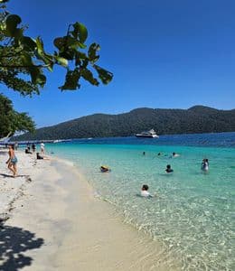 🏷️ 시간을 뛰어넘는 모던 클래식 의류브랜드 타임(TIME) 2025 SS 착용 후기 🕰️✨💖